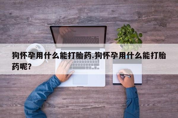 米非米索如何购买狗怀孕用什么能打胎药.狗怀孕用什么能打胎药呢？