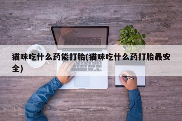 米非米索如何购买猫咪吃什么药能打胎(猫咪吃什么药打胎最安全)