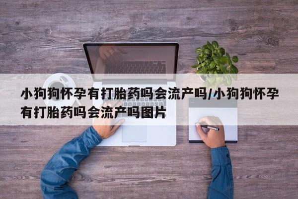 米非米索如何购买小狗狗怀孕有打胎药吗会流产吗/小狗狗怀孕有打胎药吗会流产吗图片